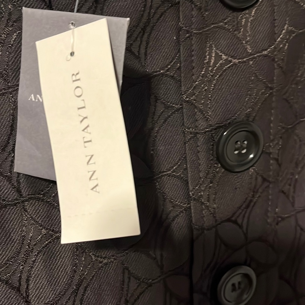 Ann Taylor Skirt NWT